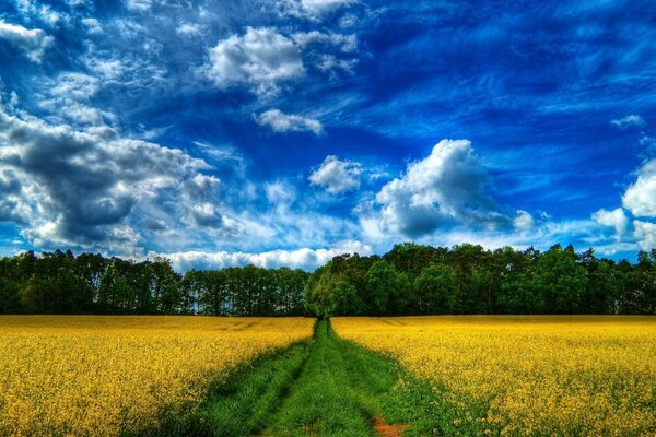 La naturaleza no olvidada de los paisajes rurales