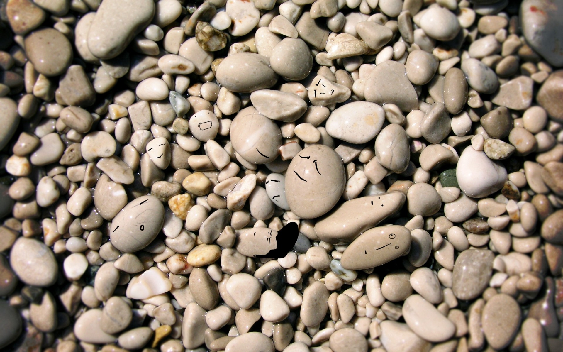 textura frijol roca escritorio partido primer plano piedra pila muchos seco grava semilla liso escamas café resumen adoquines comida cosecha zen piedras piedras