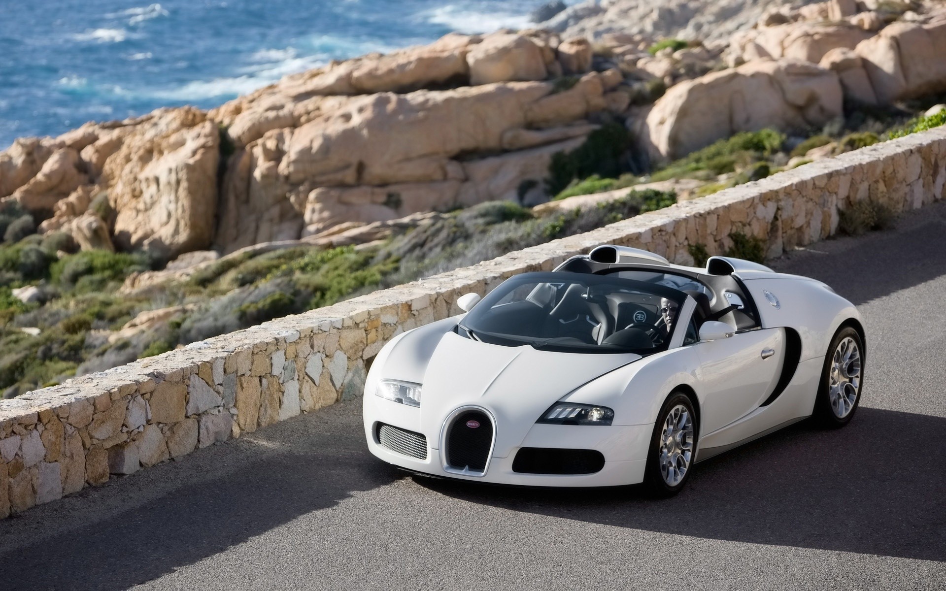 bugatti coche coche sistema de transporte prisa bugatti veyron bugatti veyron blanco