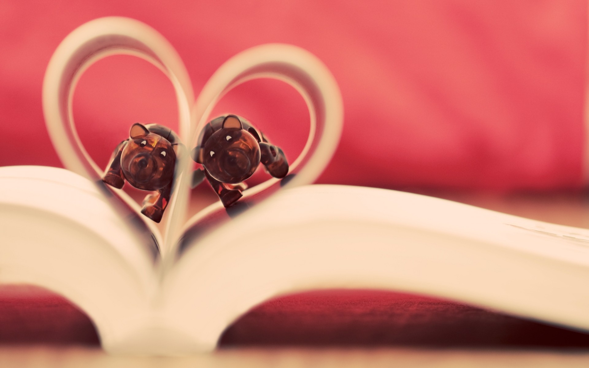 amor boda flor romance rosa naturaleza muerta beber corazón