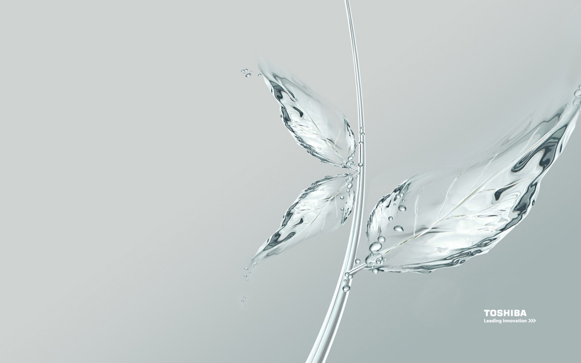 toshiba movimiento caída limpieza naturaleza agua mojado onda burbuja