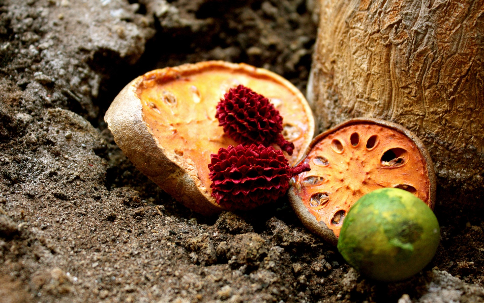 comida fruta naturaleza madera primer plano escritorio
