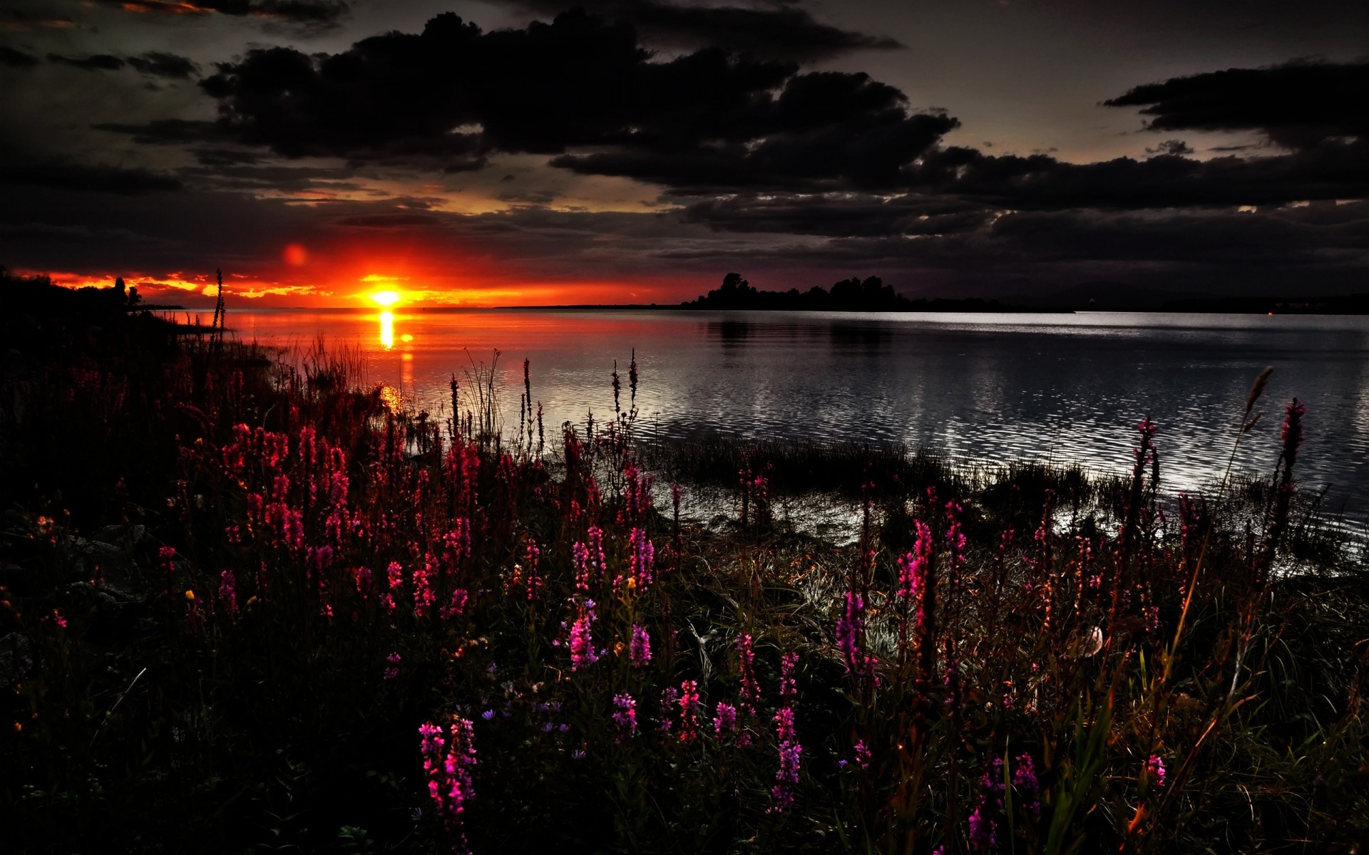 paisaje puesta de sol amanecer agua crepúsculo noche paisaje al aire libre sol lago luz cielo naturaleza flores nubes secenery