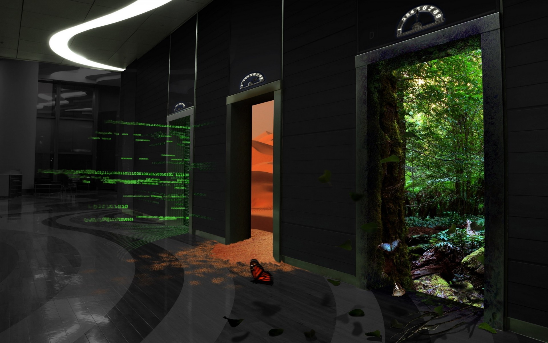 luz paisaje hogar viajes naturaleza arte techno mariposa fondo