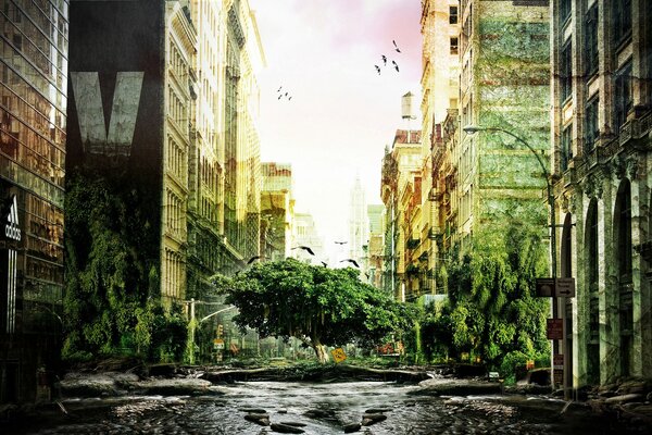 Arquitectura de la ciudad vieja en la foto