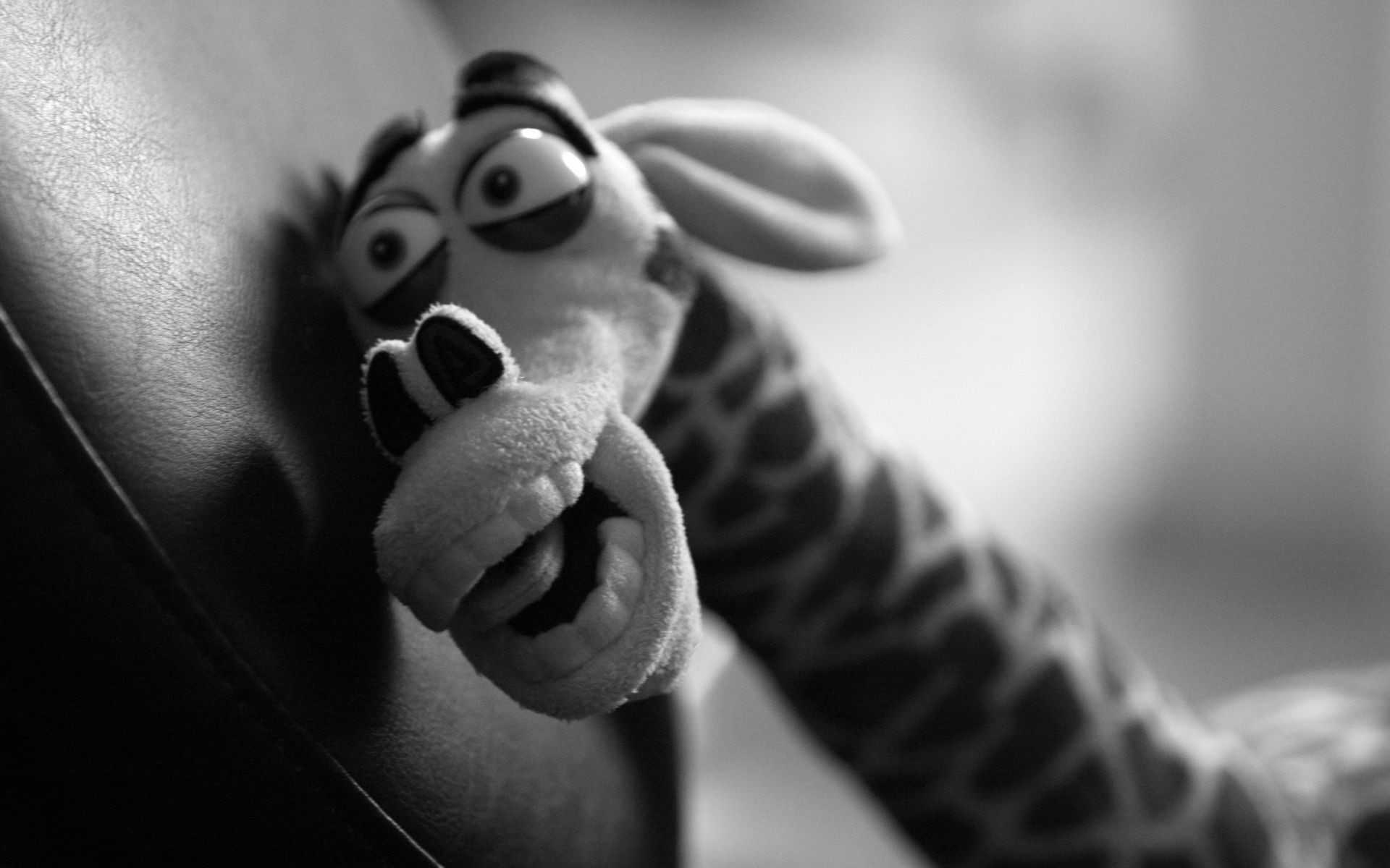 monocromo hombre retrato adulto solo chica blanco y negro mujer pies dof desnudo manos