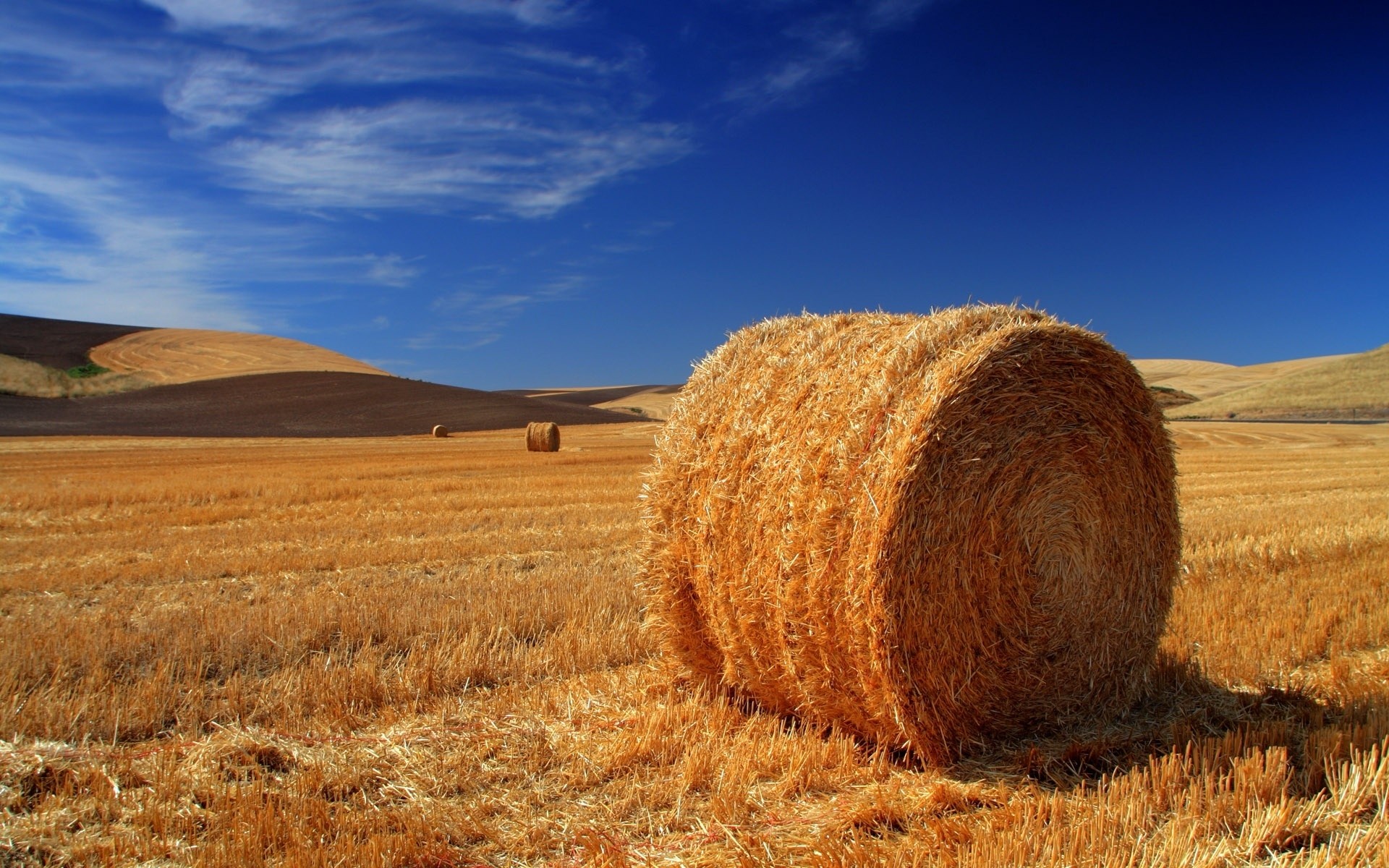 paisaje trigo heno paja rural pasto cielo paisaje agricultura campo seco cereales al aire libre centeno naturaleza granja campo maíz cosecha tierra cultivada paisaje verano