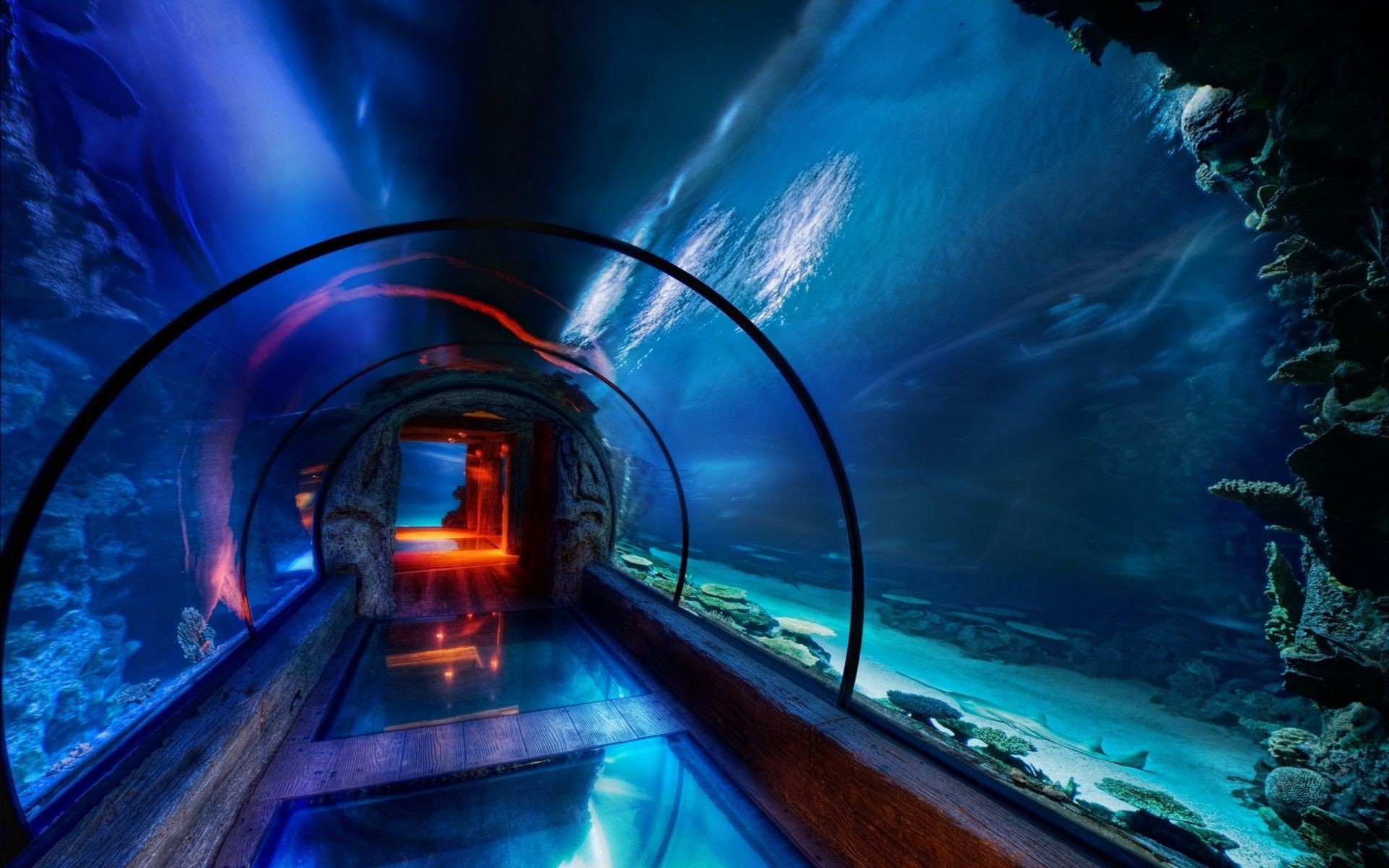 túnel luz desenfoque viajes sistema de transporte tráfico noche atasco de tráfico