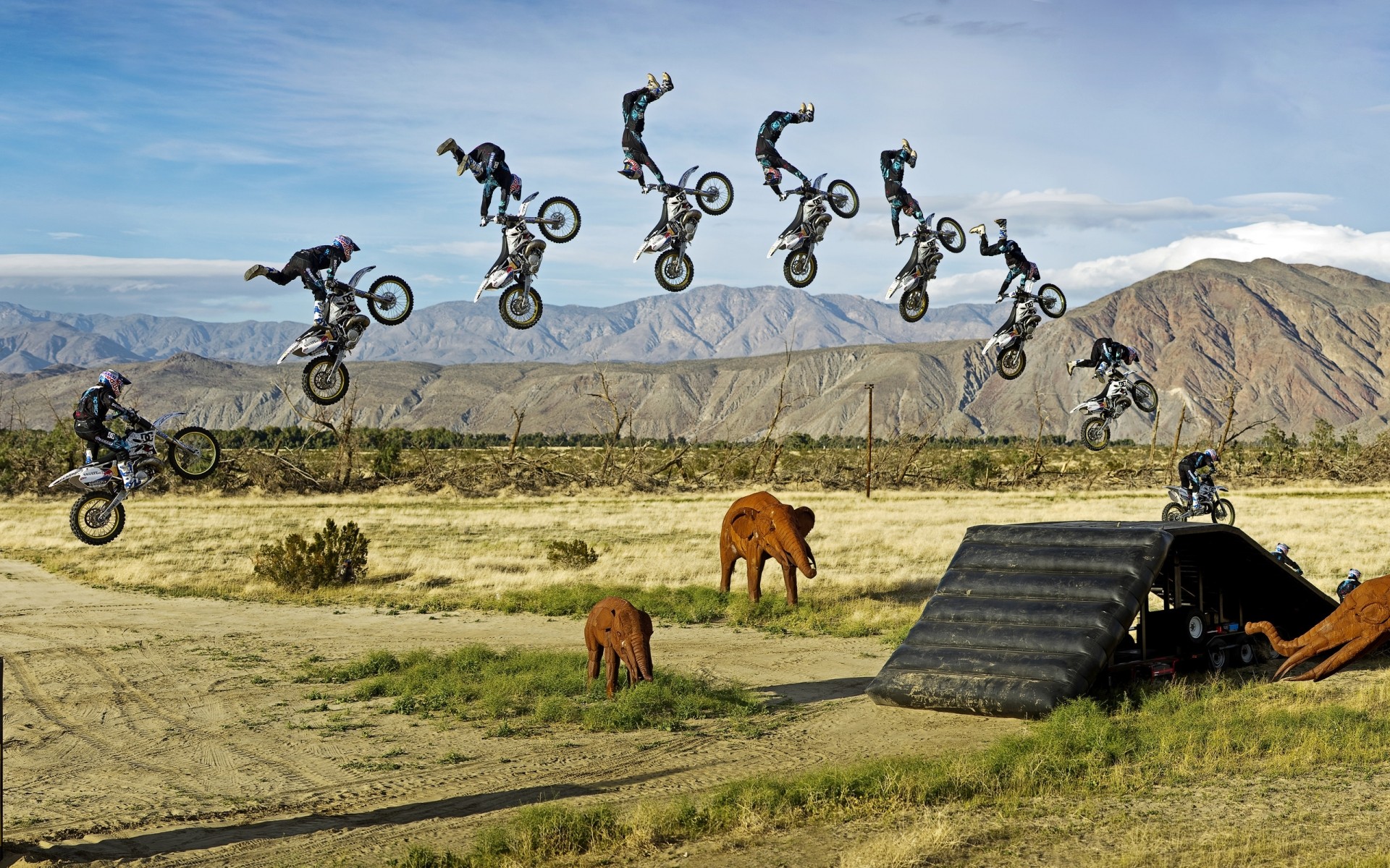 deportes hierba naturaleza paisaje al aire libre cielo verano viajes campo campo selva elefante juguetes estatuas motocicleta