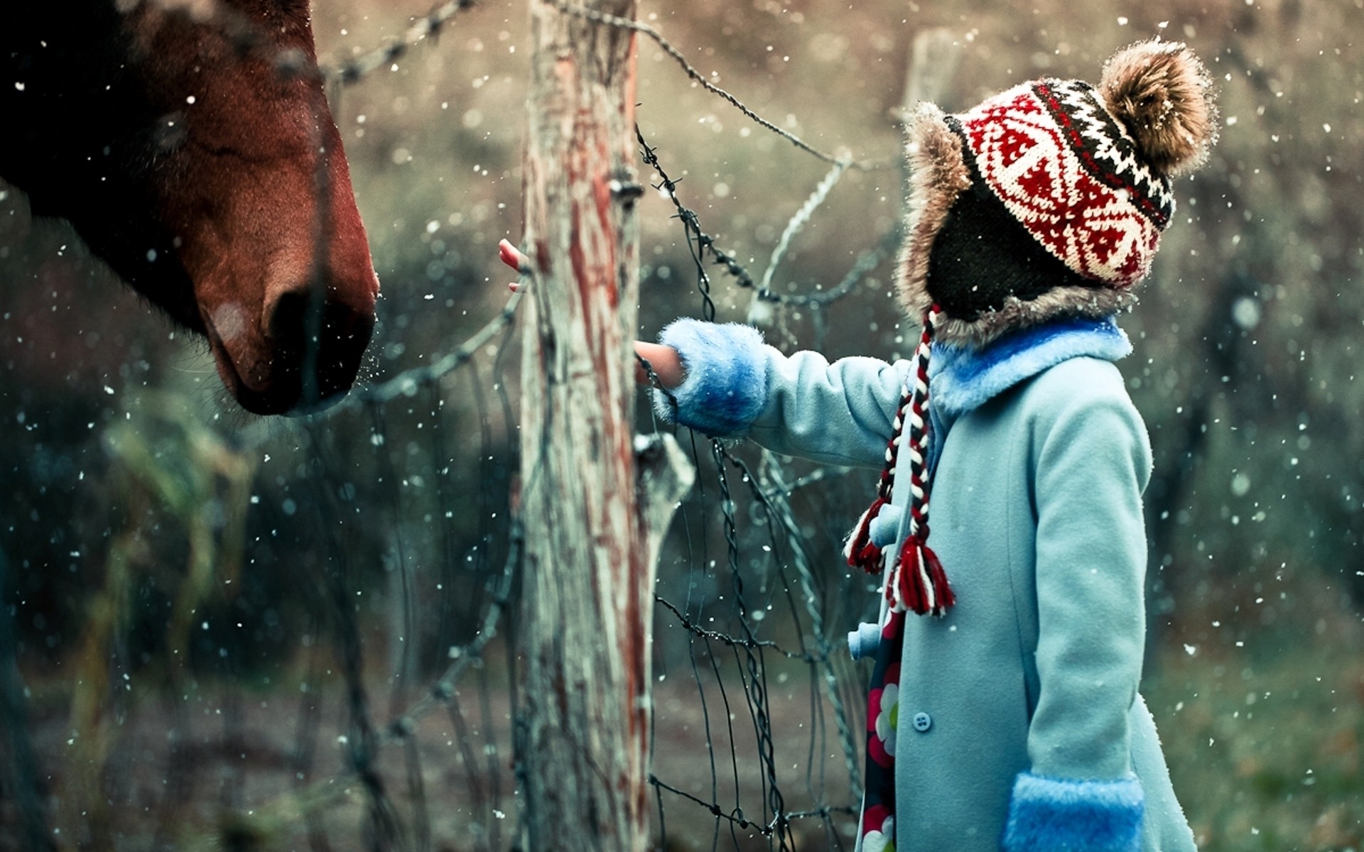 invierno nieve frío mojado solo lluvia mujer agua retrato placer escarcha chica adulto caballo foto