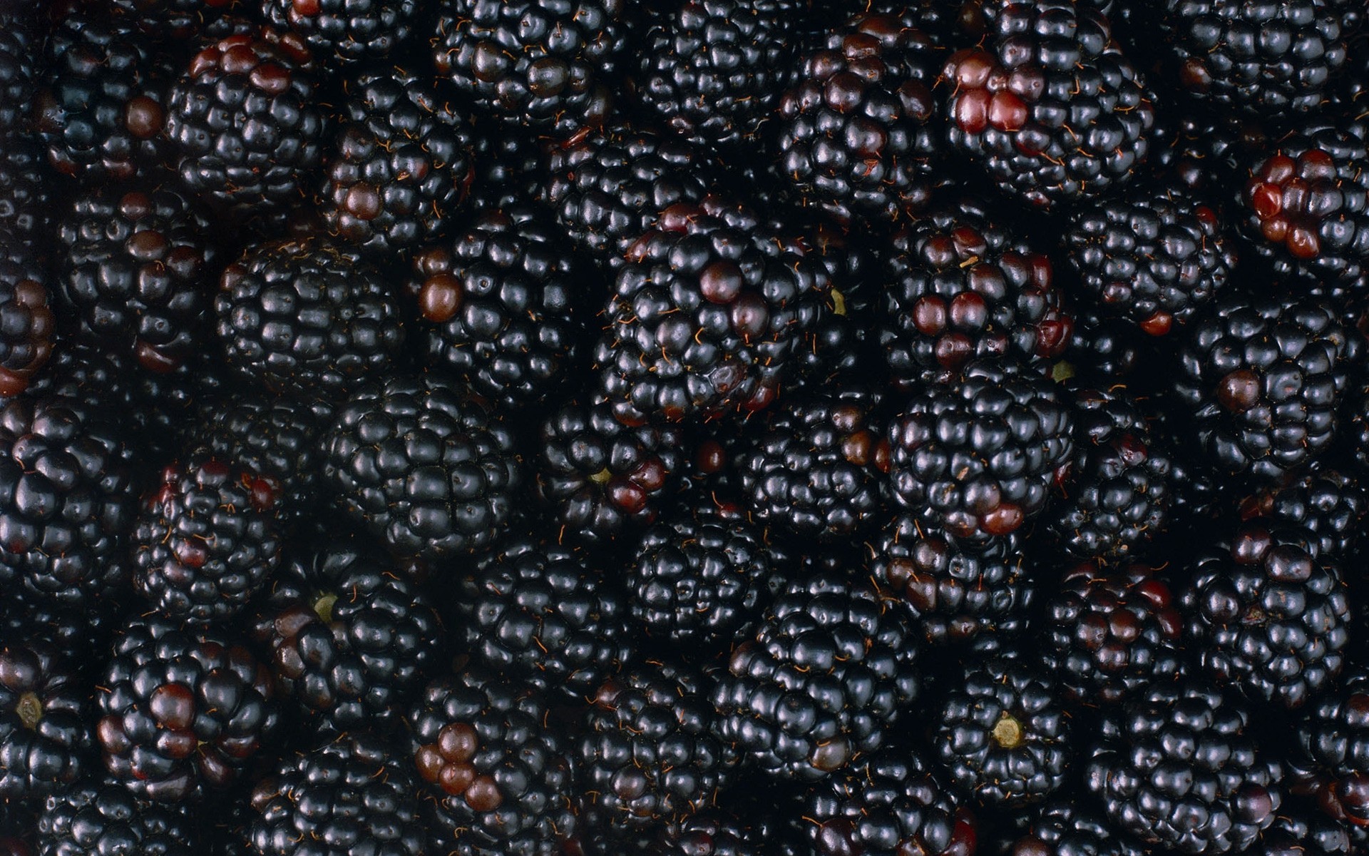 comida moras fruta escritorio primer plano jugoso crecer textura epicuro beber baya comida mercado muchos oscuro pasto fruta moras