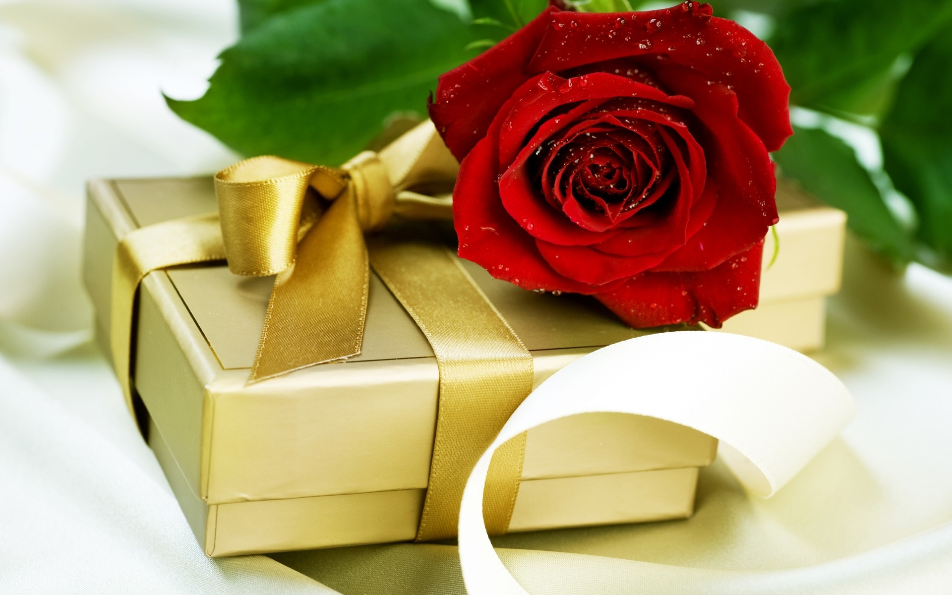 rosa romance amor boda regalo flor aniversario romántico cumpleaños hoja caja
