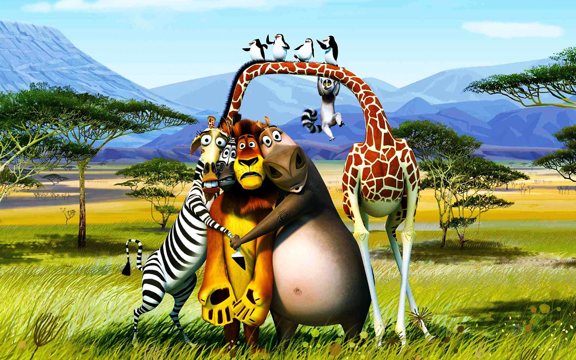 películas naturaleza cielo hierba verano placer pingüinos desierto árboles montañas áfrica kavalsky