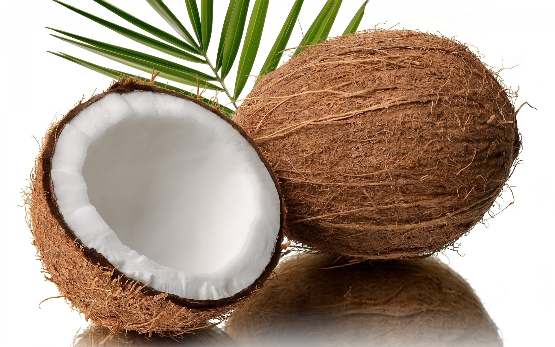 coco tuerca palma naturaleza comida tropical salud aislado exótico escritorio paja madera leche fruta fondo