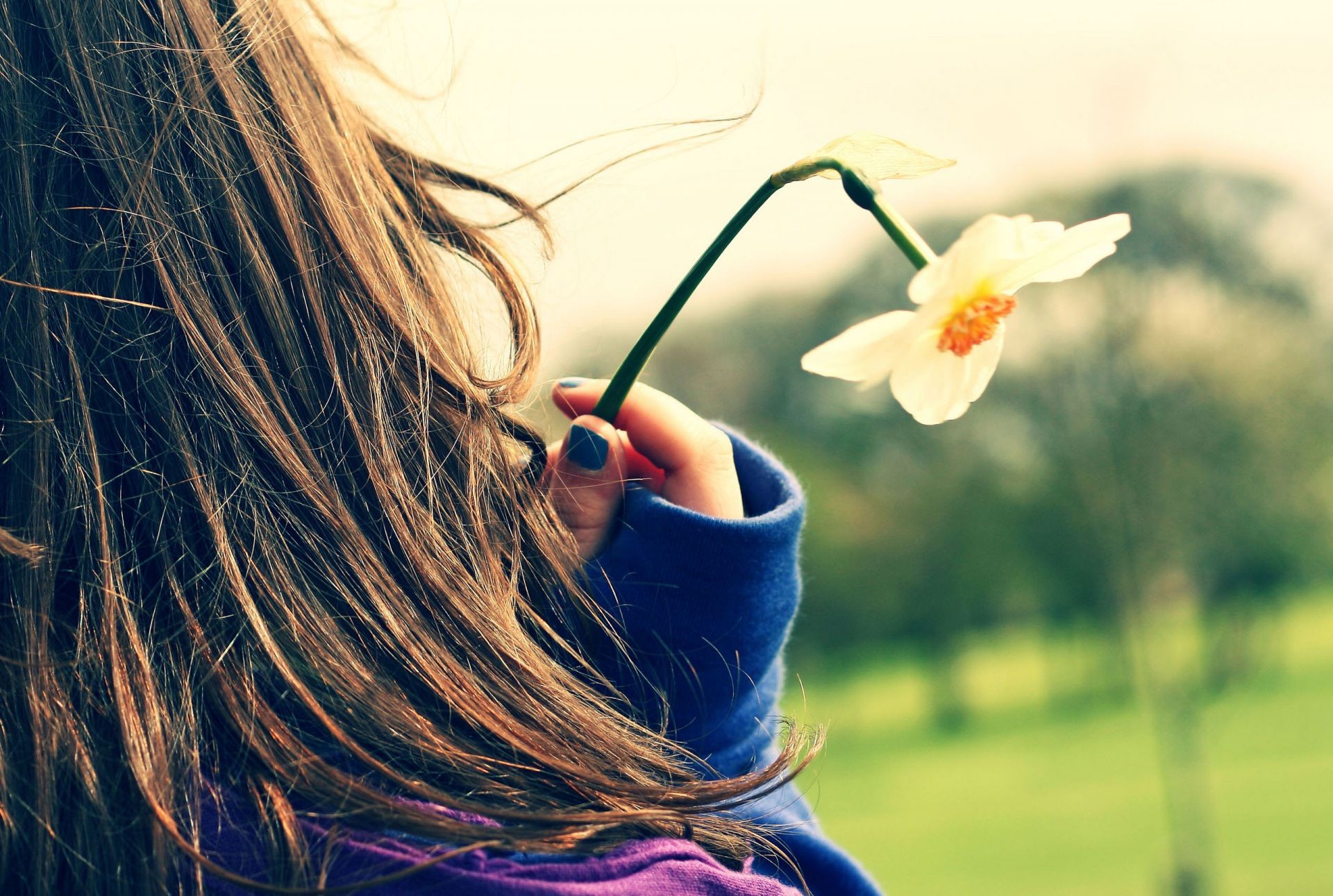naturaleza verano hermosa mujer al aire libre flor solo relajación hierba chica vacaciones