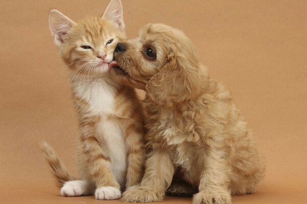 Lindos bebés. Amor sin fronteras