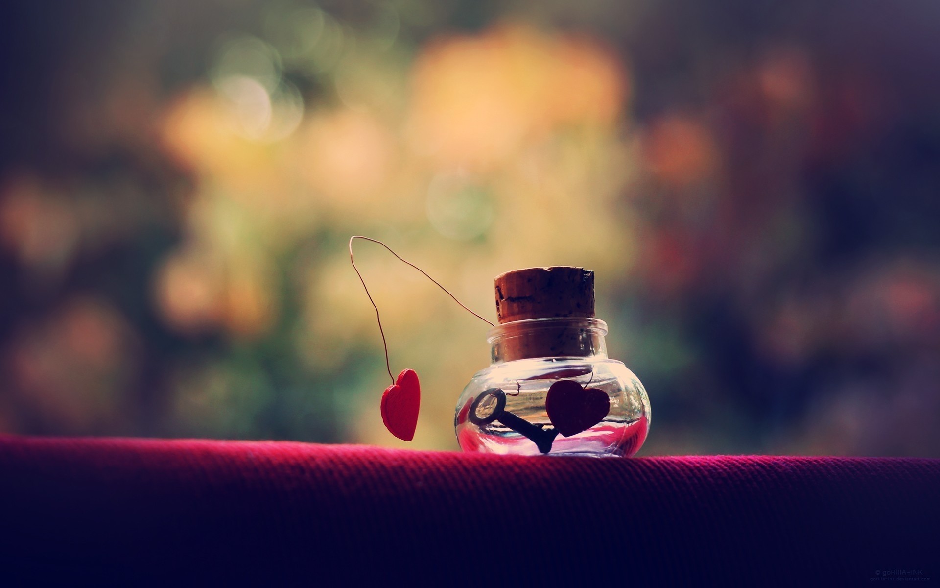 desenfoque vidrio luz naturaleza muerta flor color naturaleza enfoque beber dof escritorio amor corazón rojo arte fondo