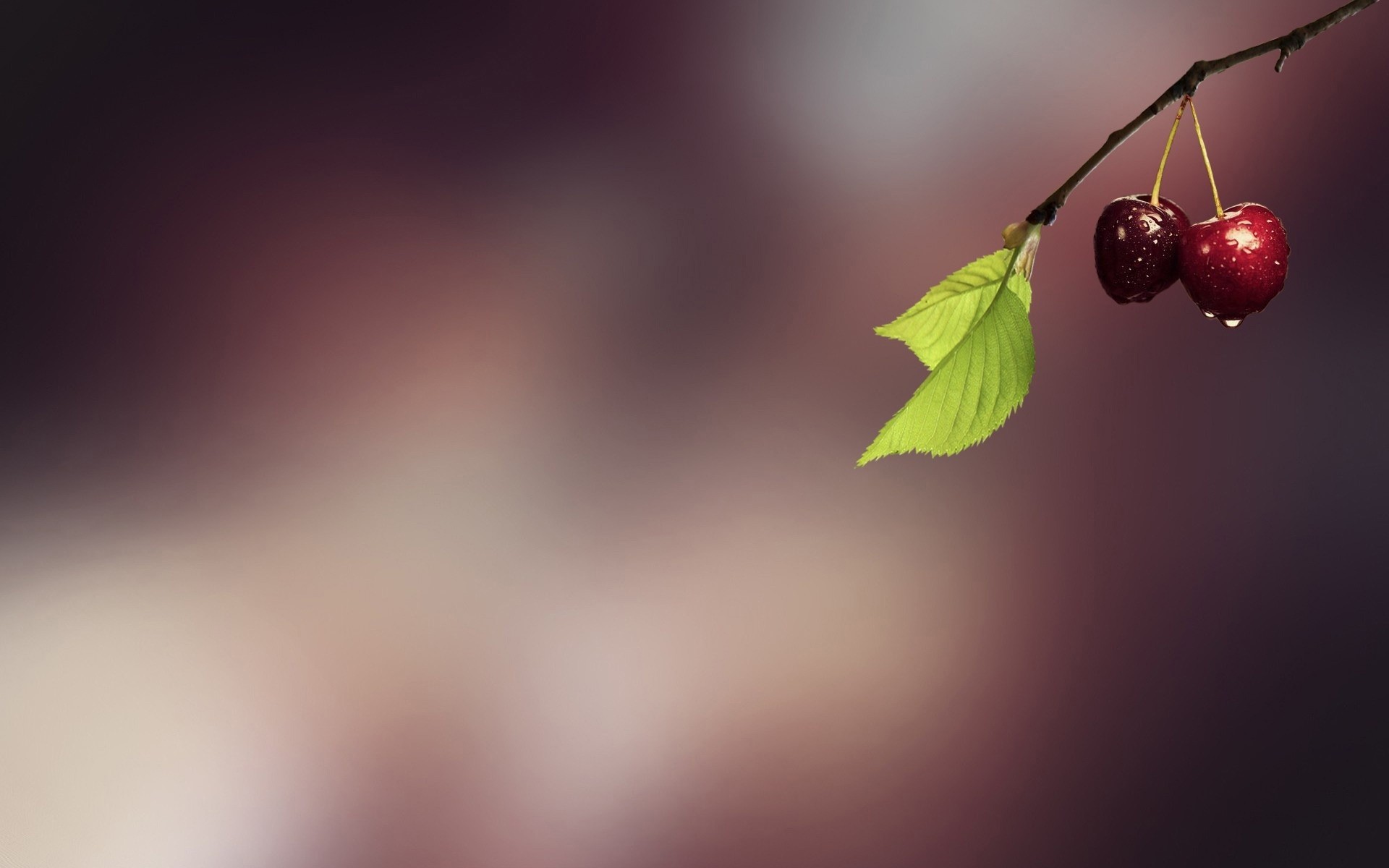 desenfoque naturaleza hoja abstracto arte cerezas fruta