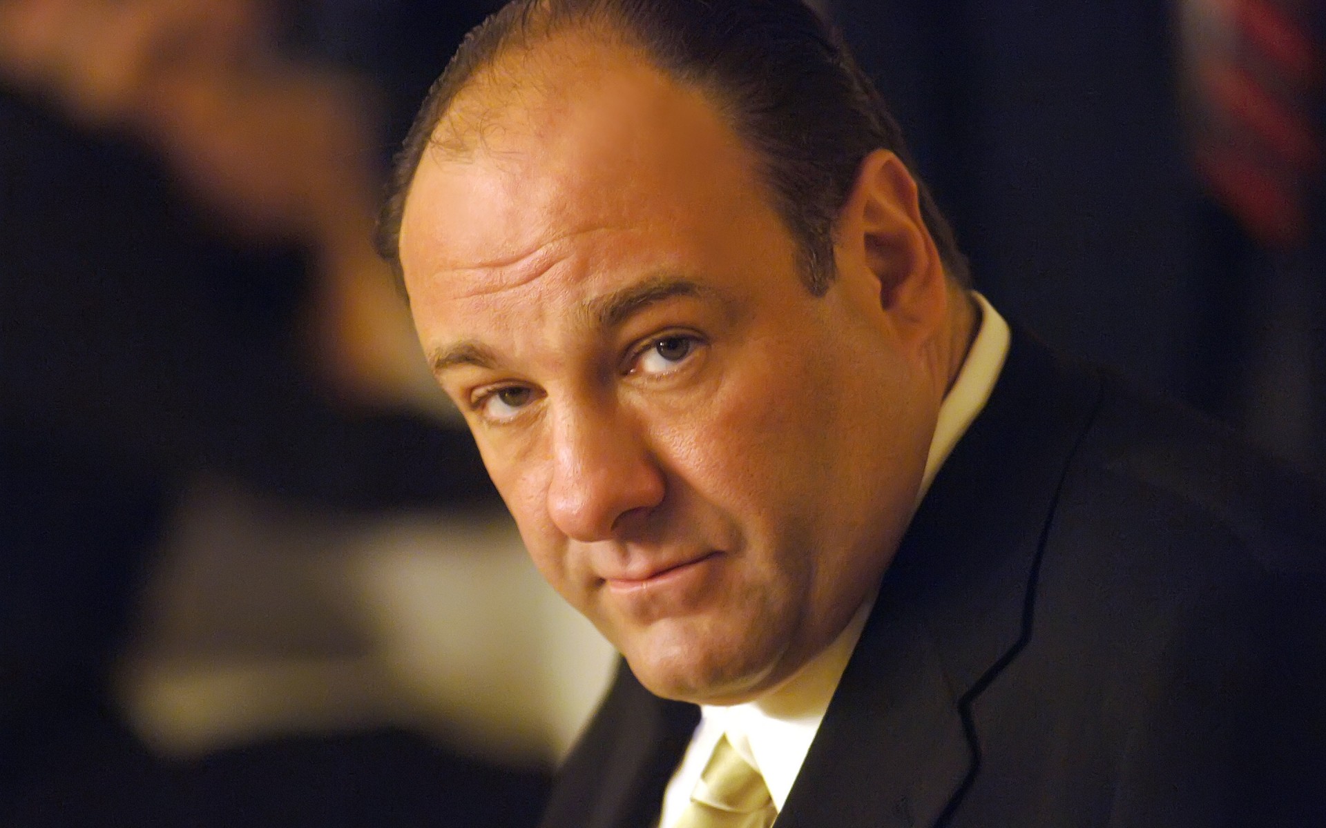 hombres negocio retrato líder hombre solo político traje adulto desgaste administración james gandolfini