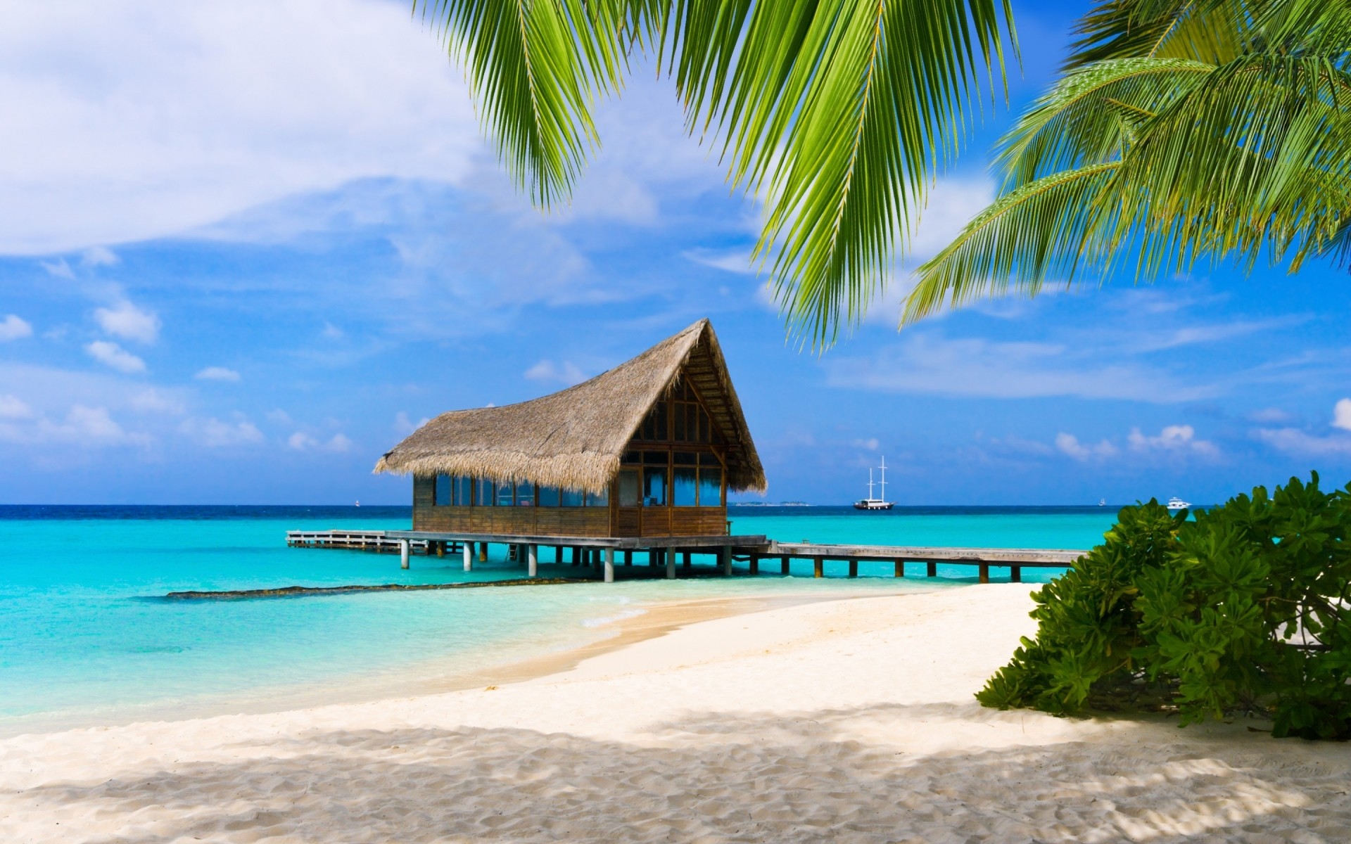 paisaje arena tropical playa idilio isla verano mar exótico viajes resort relajación océano agua vacaciones paraíso sol turquesa palmas paisaje maldivas magnífico