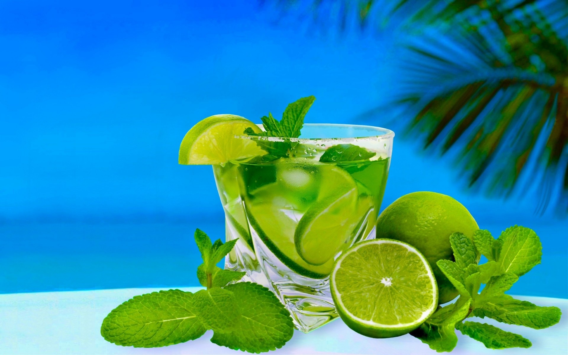 hoja tropical menta verano limón lima frescura naturaleza fruta comida saludable refresco jugo cóctel bebidas bebida de verano