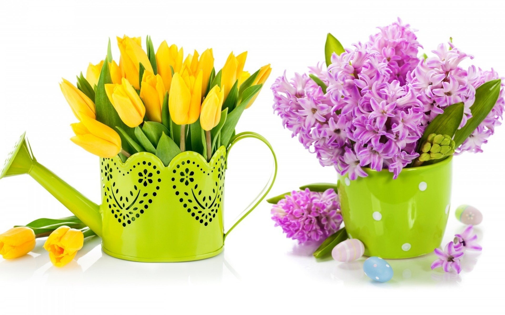 flores pascua flor ramo floral hoja flora naturaleza florero tulipán racimo regalo brillante aislado cumpleaños color bluming decoración maceta lila lila púrpura tulipanes tulipanes amarillos primavera