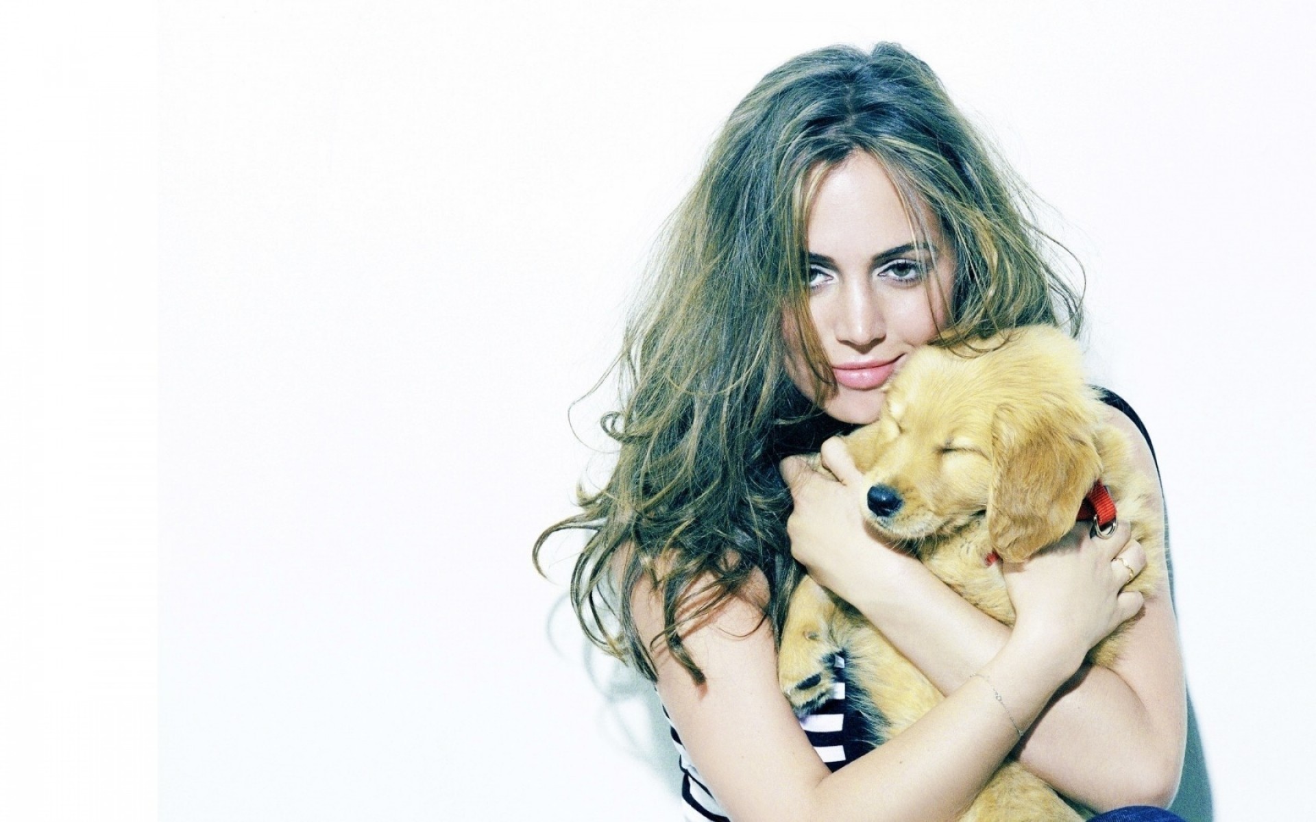 chica hermosa joven mujer retrato lindo estudio moda escritorio modelo bonita pelo sexy atractivo aislado glamour rizado cachorro actriz