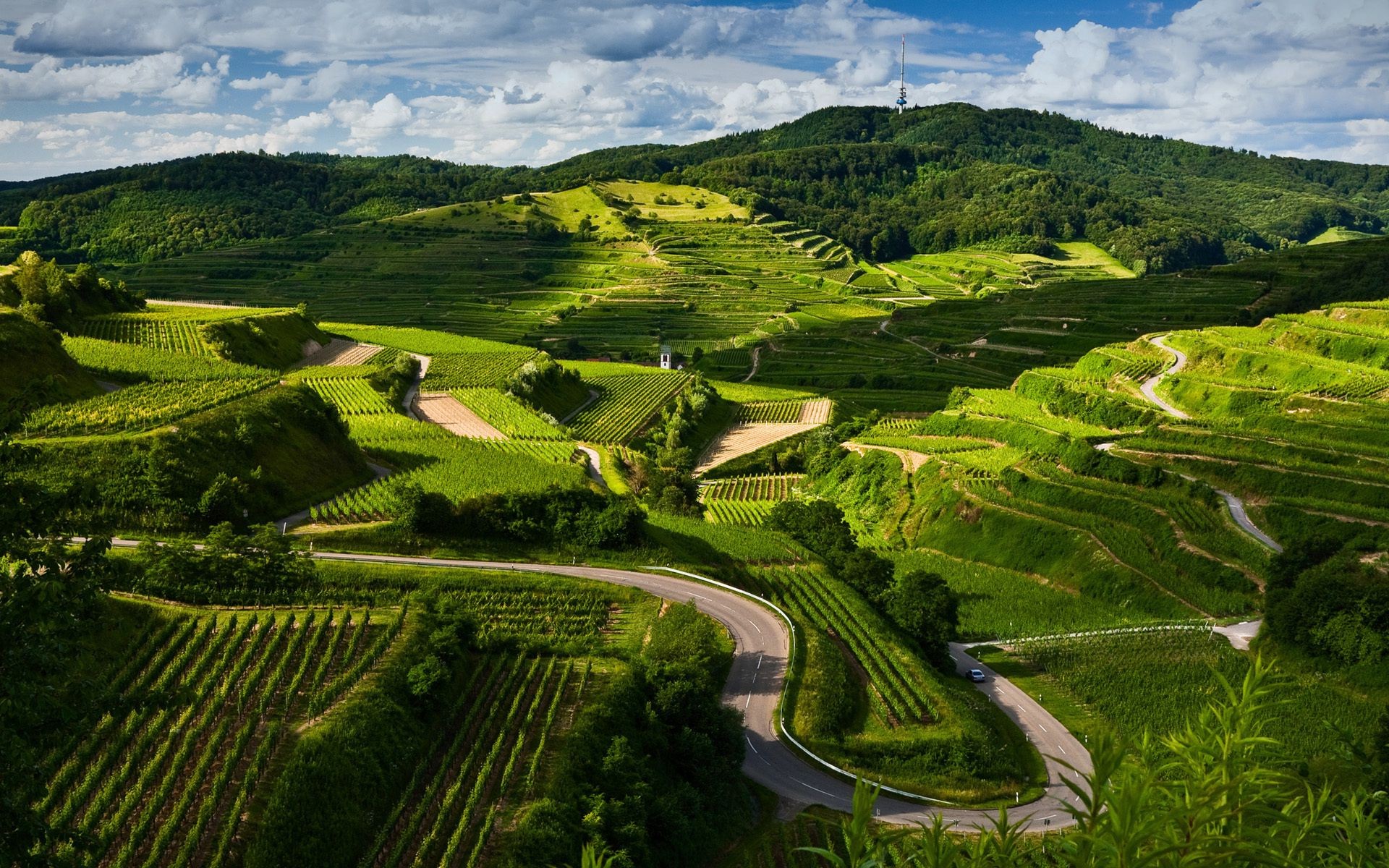 paisaje tierra cultivada agricultura viajes paisaje campo viñedo valle granja colina campo naturaleza rural al aire libre tierras de cultivo árbol cielo vid hierba montañas