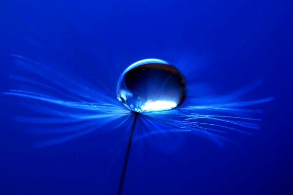 Resumen borroso de luz y agua