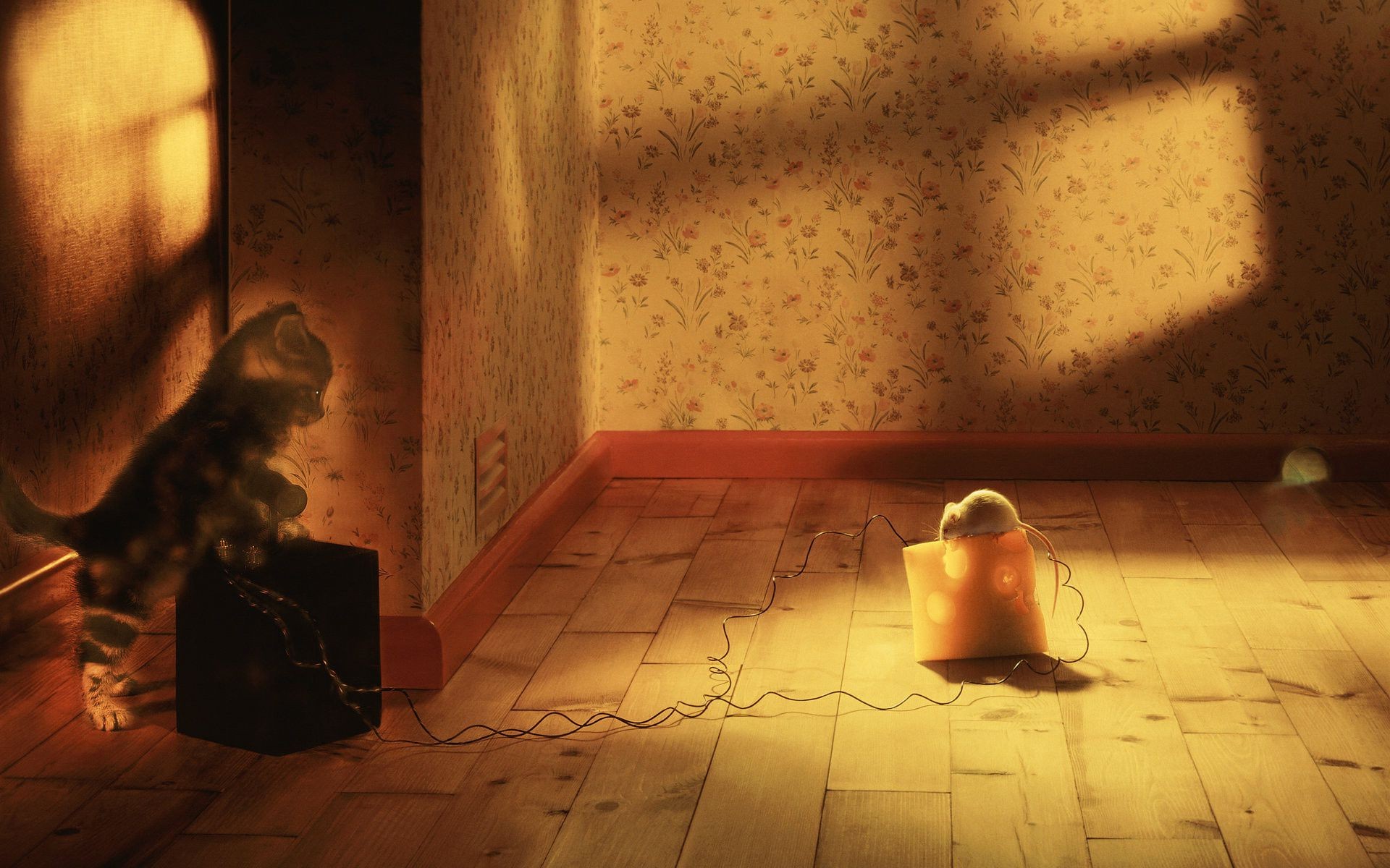 solo interior habitación adulto luz chica retrato desnudo mujer desgaste pared