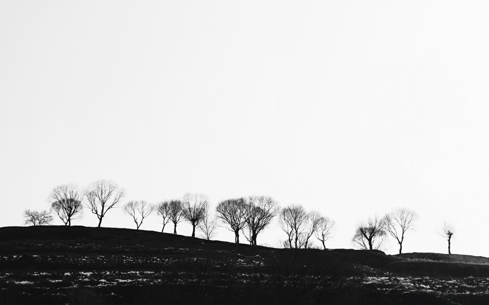 blanco y negro niebla paisaje árbol monocromo niebla invierno naturaleza amanecer otoño nieve cielo silueta al aire libre puesta de sol sepia luz