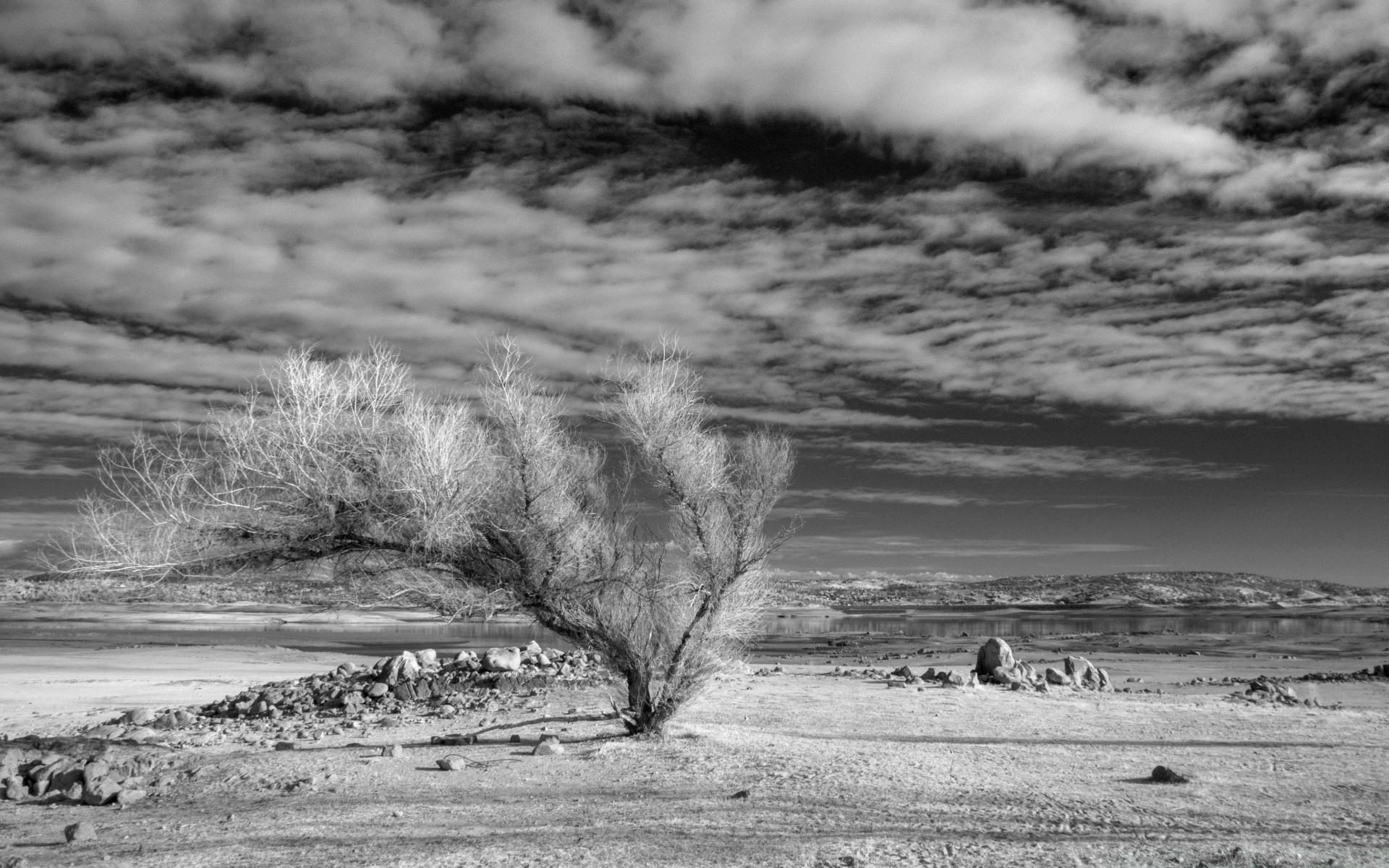 blanco y negro paisaje agua monocromo invierno naturaleza tormenta