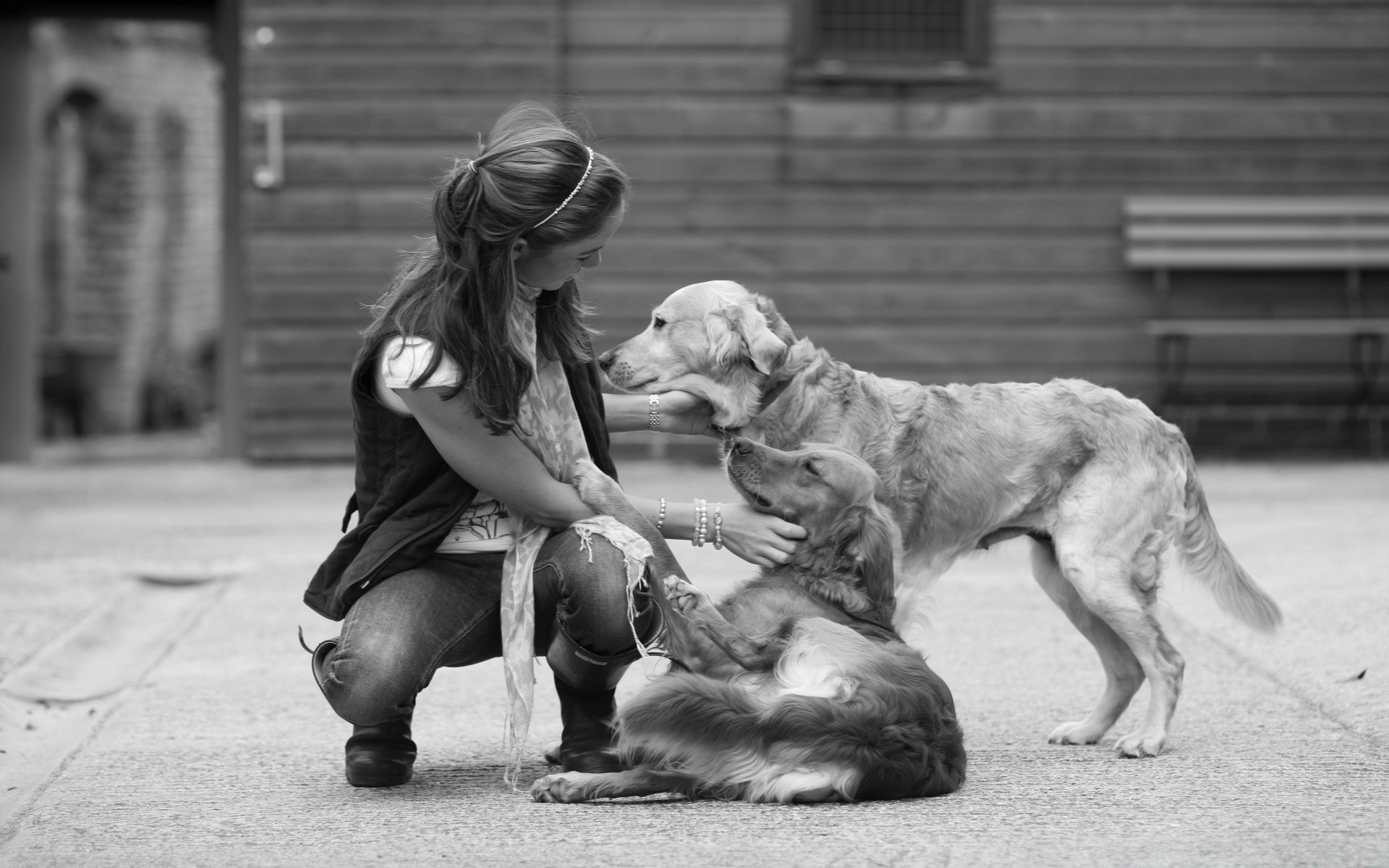 blanco y negro perro adulto perro uno niño monocromo calle dos mujer mamífero retrato