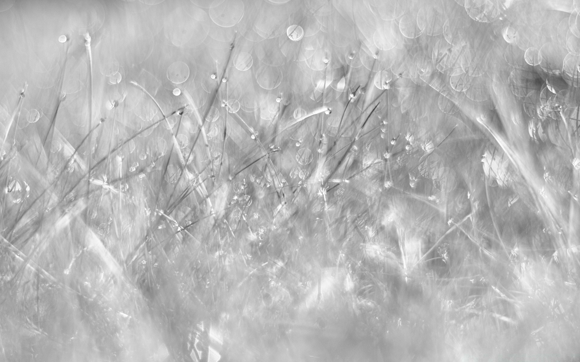 blanco y negro abstracto escritorio naturaleza luz textura brilla nieve diseño patrón brillante papel pintado invierno color arte fondo