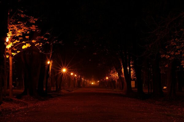 Silueta solitaria en el parque nocturno de Dalí
