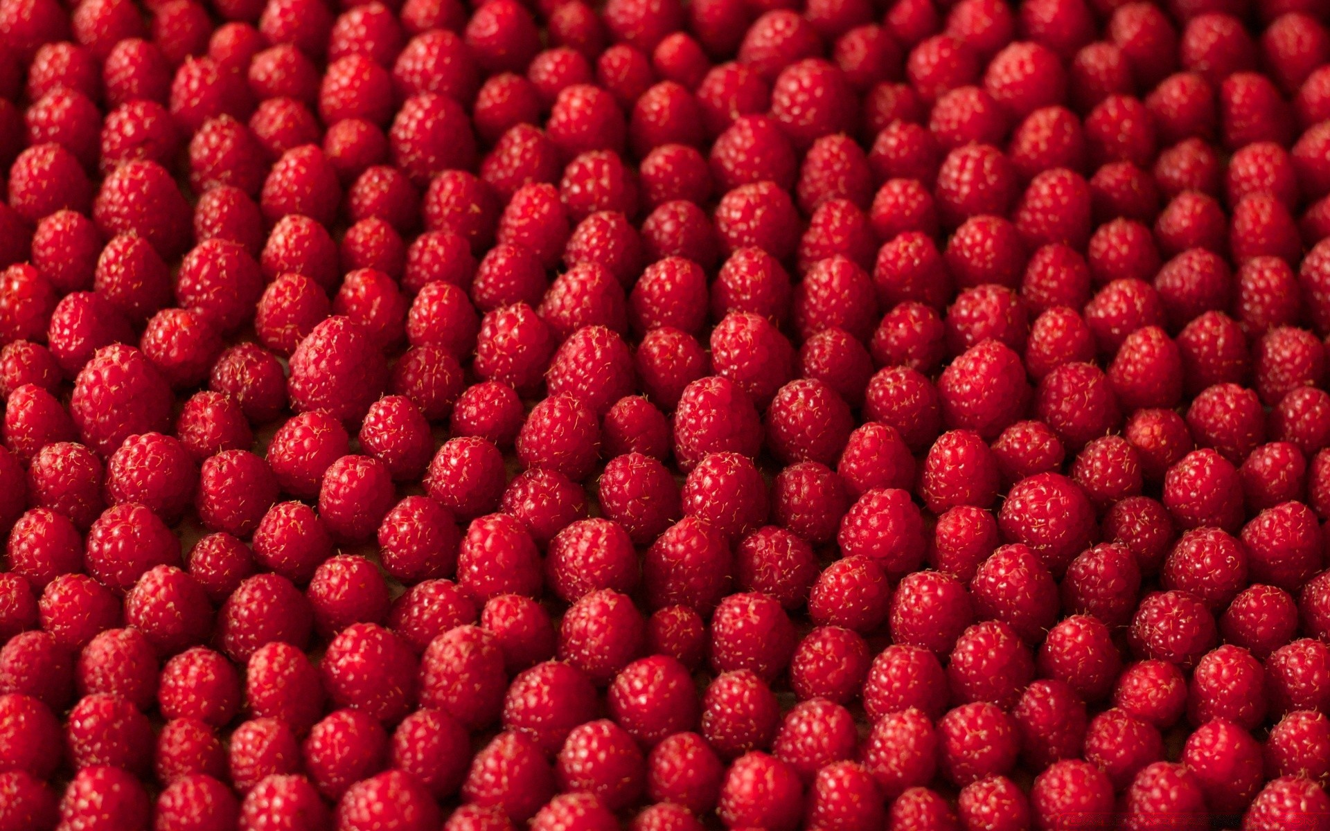 comida y bebida comida fruta baya saludable jugosa frambuesa dulce refrescante delicioso frescura escritorio dieta pastelería fiesta delicioso primer plano crecer