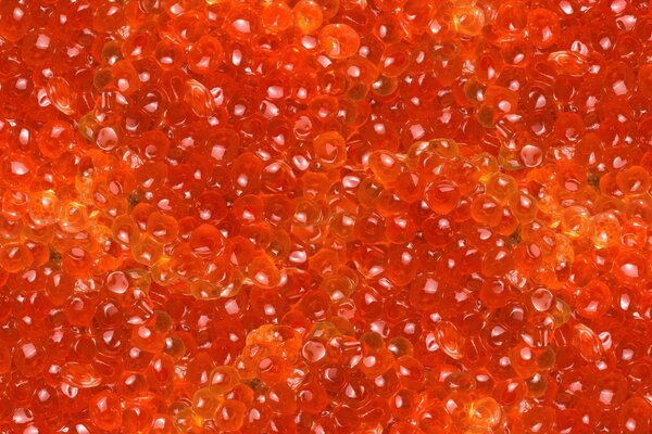 Textura de Escritorio de alimentos