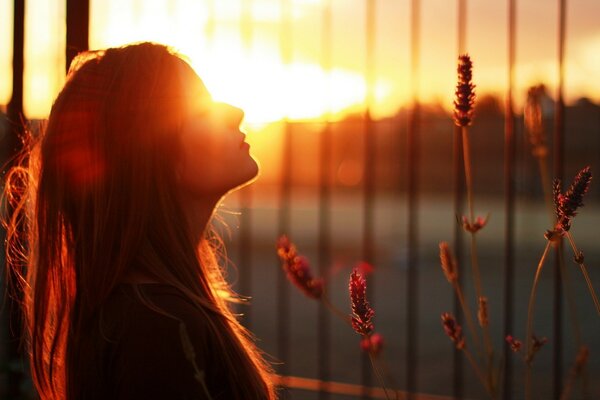 La chica al atardecer está de pie junto a la rejilla
