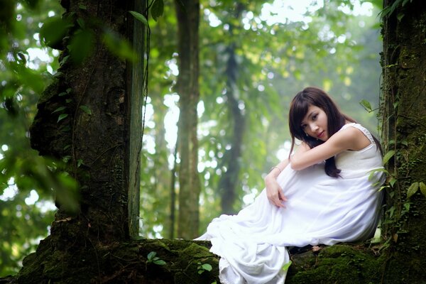 Chica en camisa blanca en el bosque