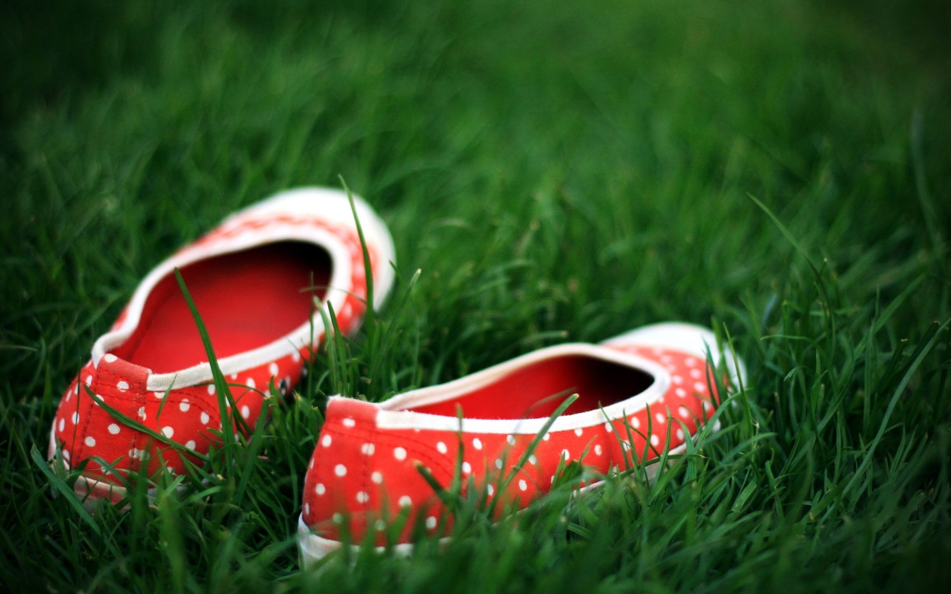 hierba verano campo cuero color césped ocio zapato al aire libre dos heno pareja naturaleza primer plano