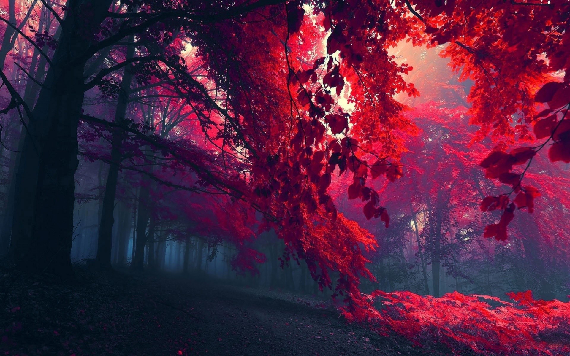corazones arte luz