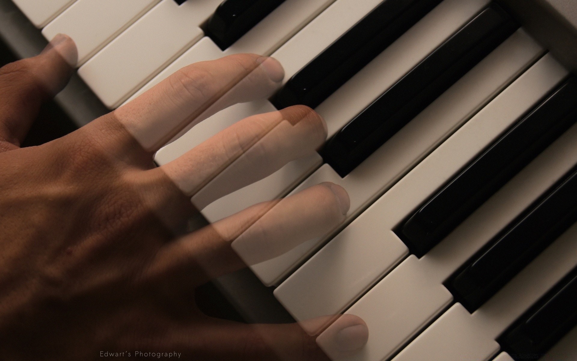 música piano ébano instrumento gato sintetizador clave sonido pianista acorde jazz armonía teclado canción ritmo músico acústica música clásica concierto composición musical