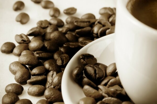 Granos de café esparcidos sobre la mesa