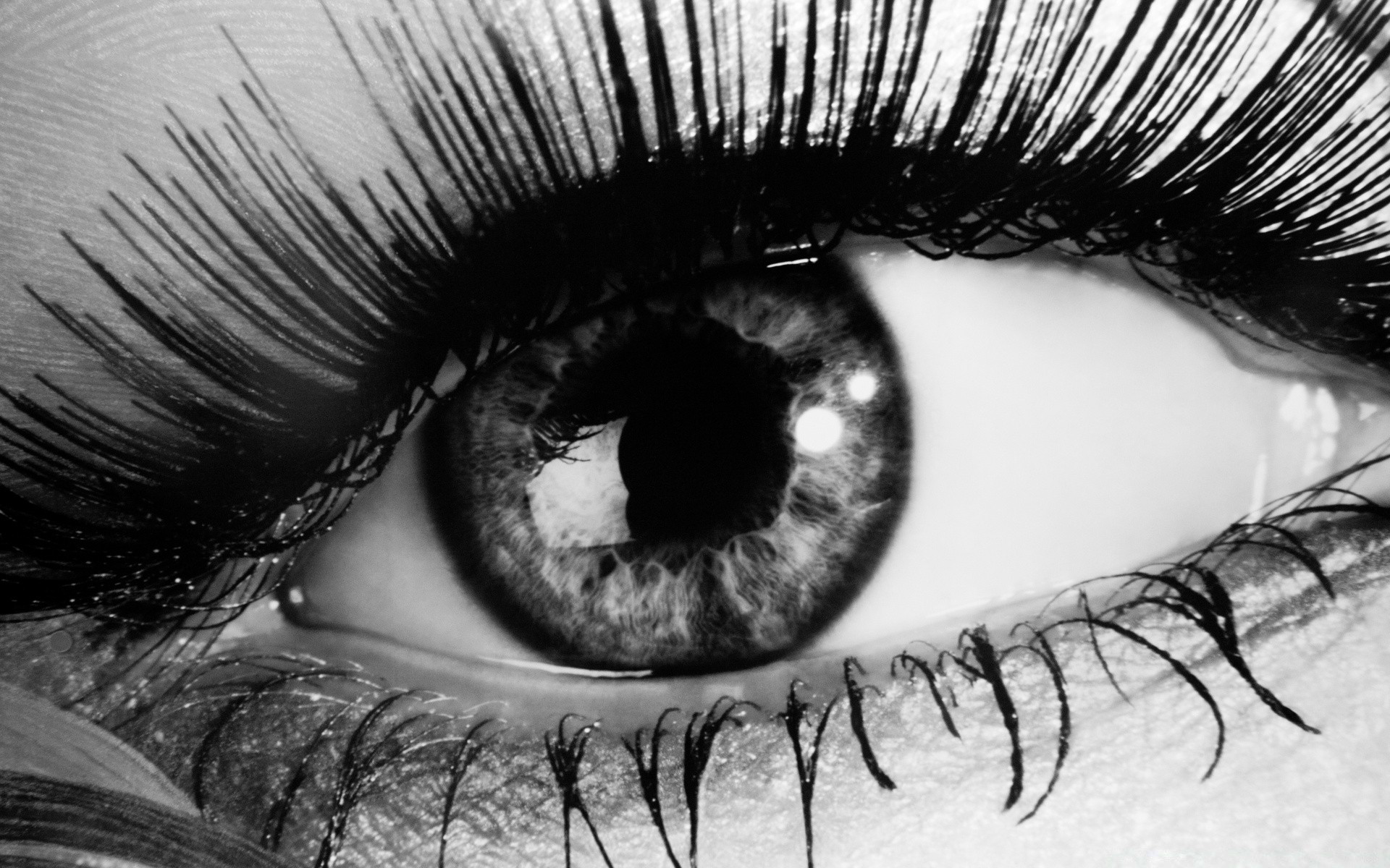 blanco y negro mujer moda monocromo glamour retrato pestañas chica rimel cara sexy piel labios ojos cabello adulto solo arte modelo artístico