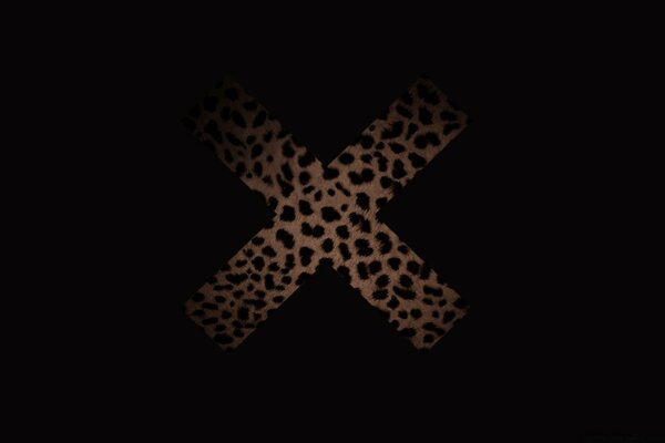 Cruz de leopardo en la imagen negra