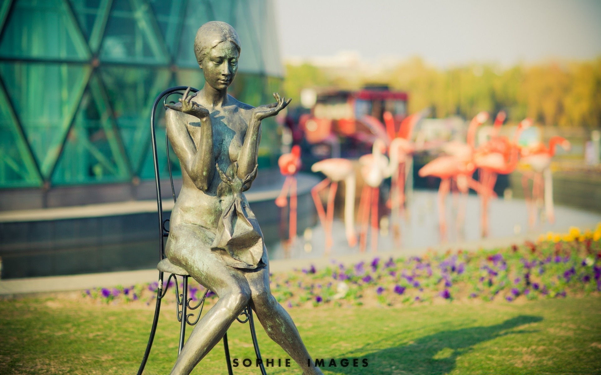 bokeh adulto al aire libre hombre mujer