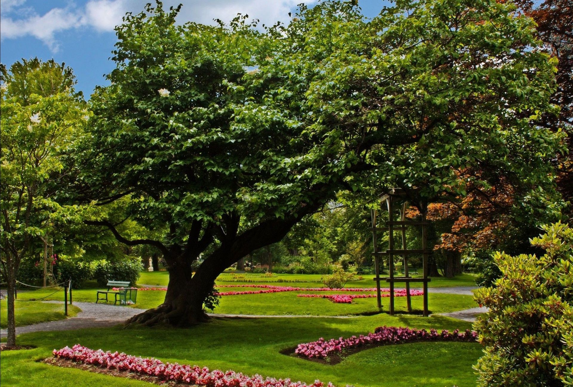 parques árbol jardín hoja parque naturaleza paisaje hierba al aire libre césped flor verano flora madera banco temporada medio ambiente exuberante buen tiempo escénico
