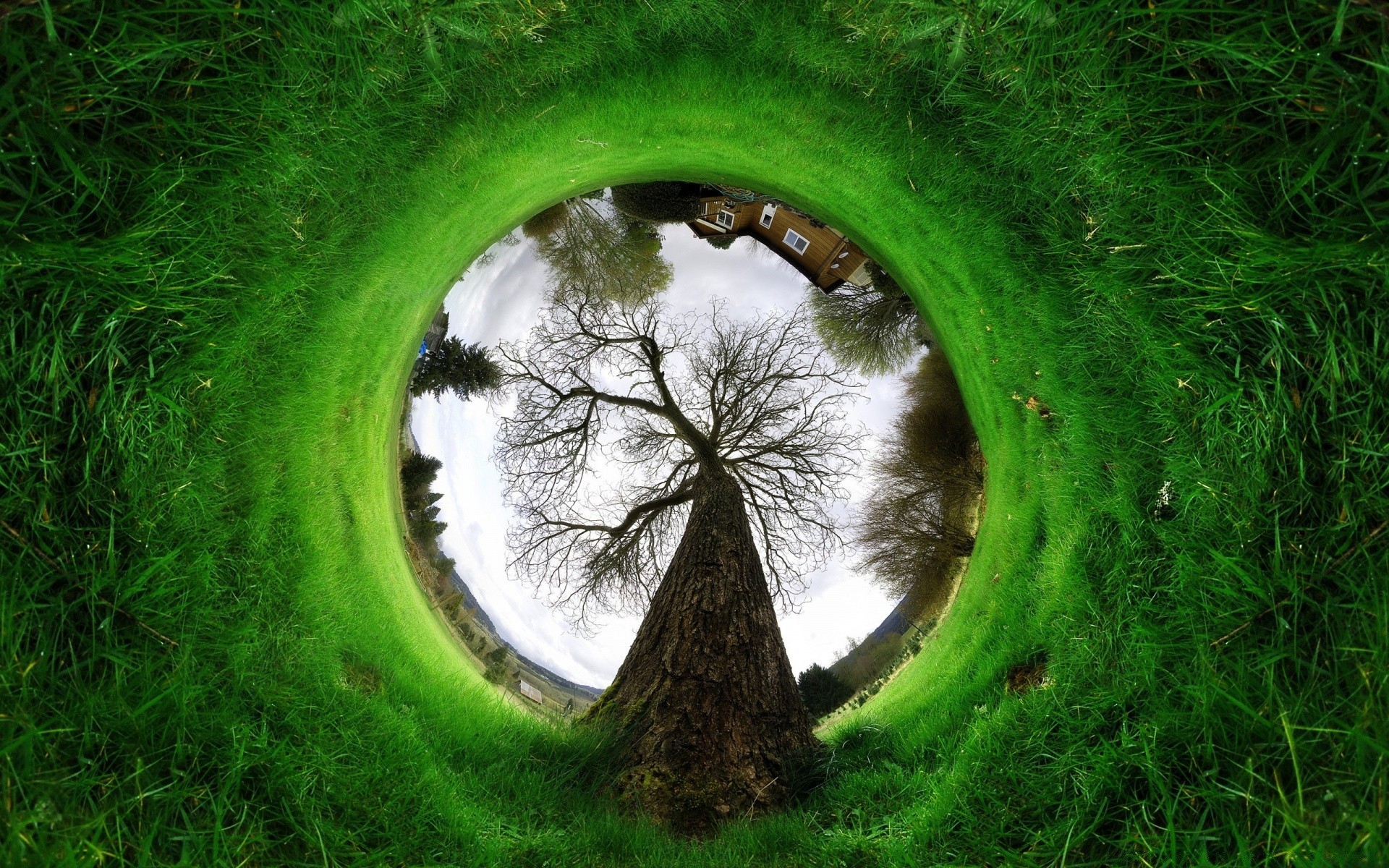 creativo hierba naturaleza medio ambiente césped paisaje en forma de bola ecología al aire libre verano hoja espectáculo campo parque heno flora suelo