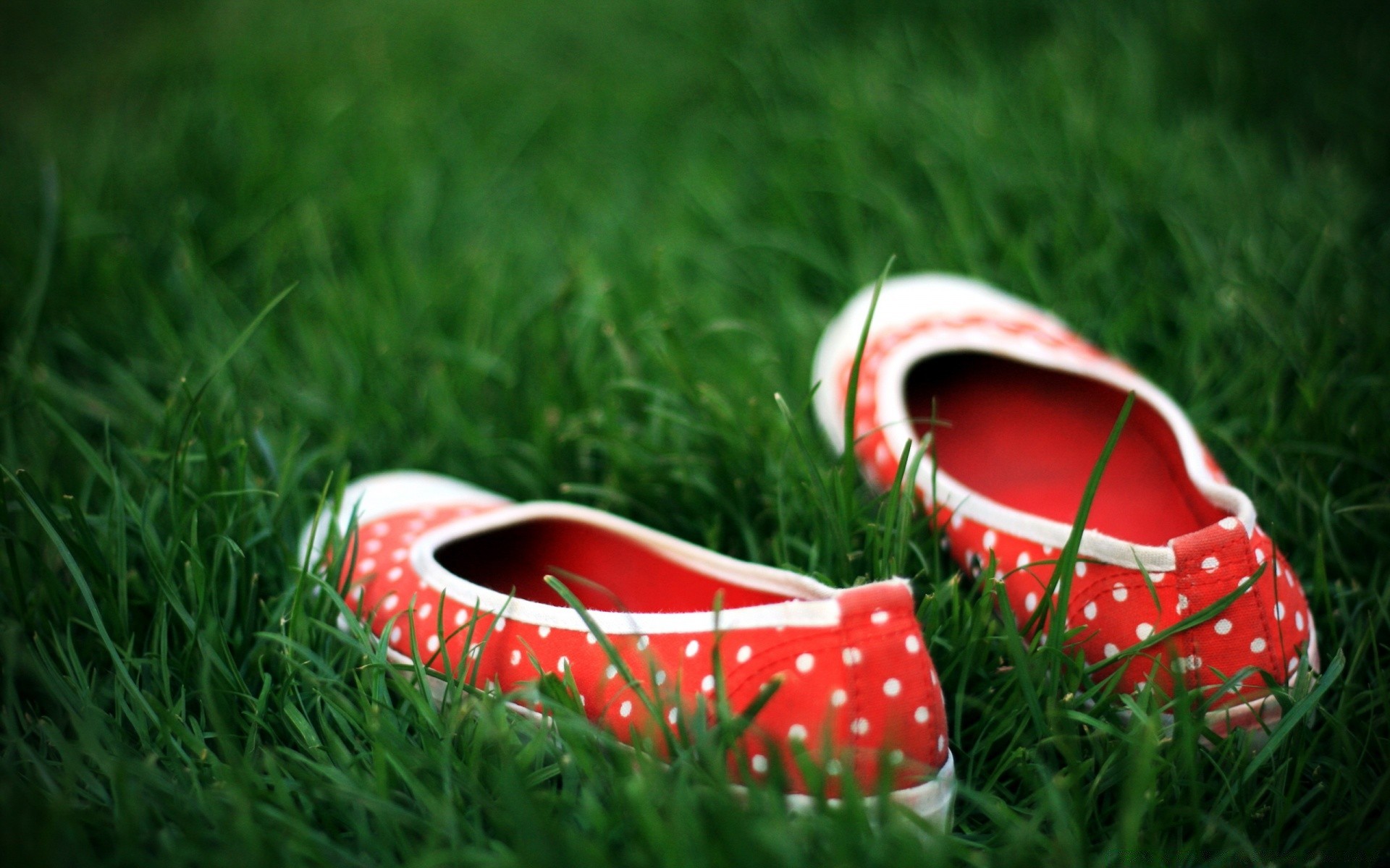 creativo hierba verano campo cuero color césped ocio zapato al aire libre dos heno ocio primer plano pareja naturaleza