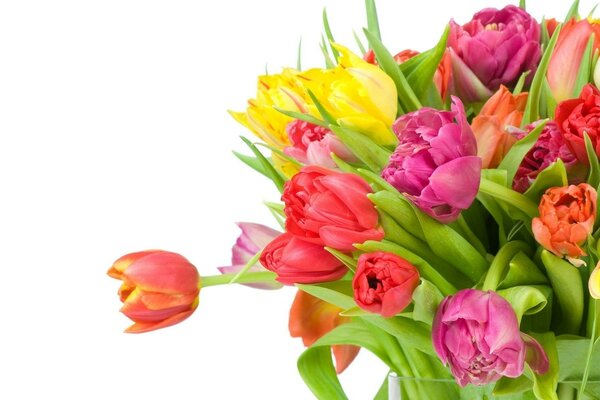 Ramo de tulipanes para la fiesta de la mujer